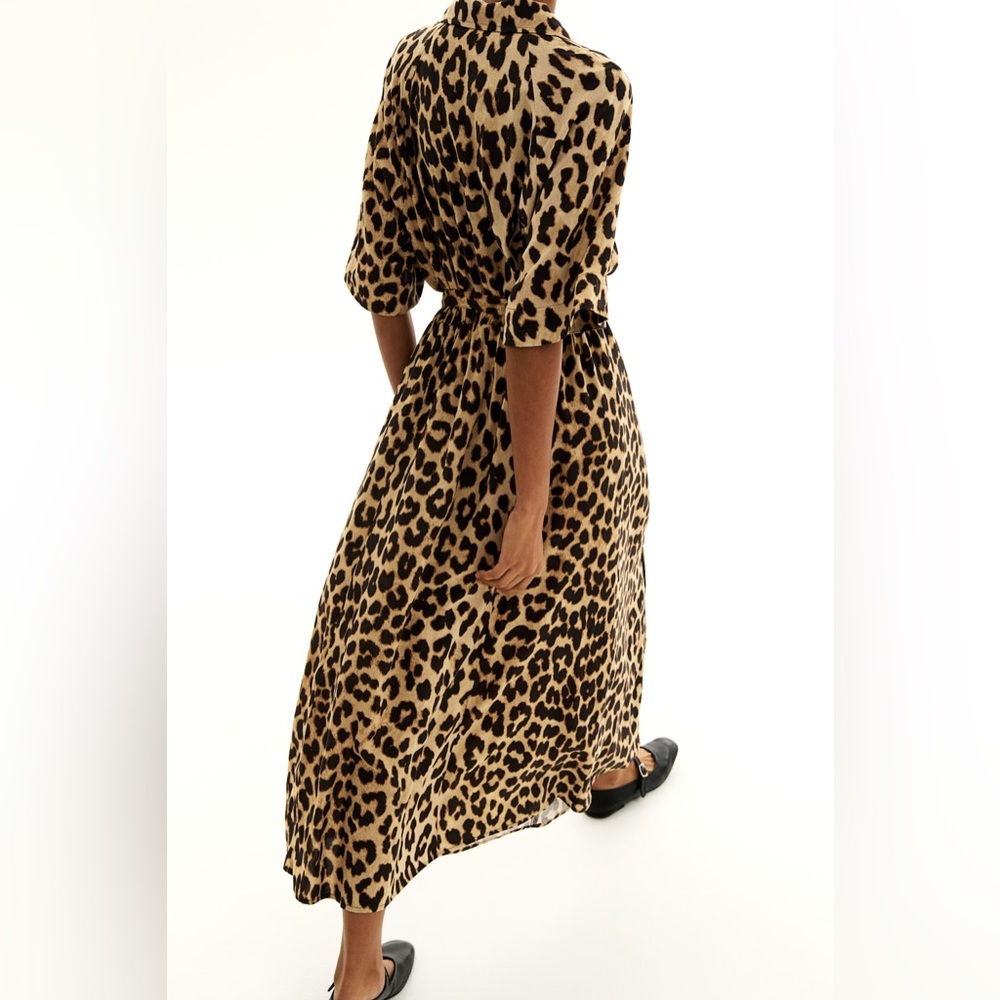 H&M medium leopard 🐆 midi button down collar dress - Picture 4 of 12
